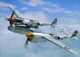 Muzej vazduhoplovstva prodaje Lockheed P-38