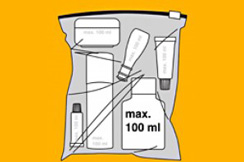 Ogranicenja za unos rucnog prtljaga