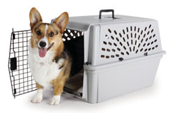 Boksovi za zivotinje