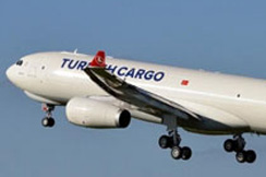 Kargo bum na beogradskom aerodromu tokom leta