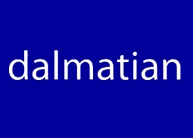 dalmatian_hr